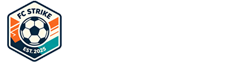 蜘蛛直播